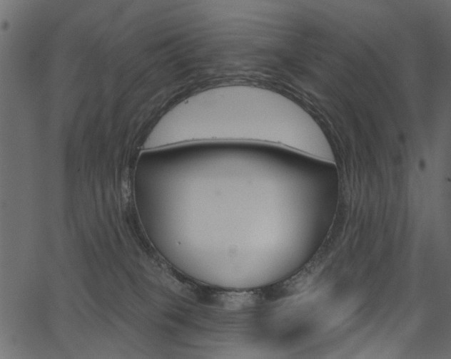 X0000067390085200603311006