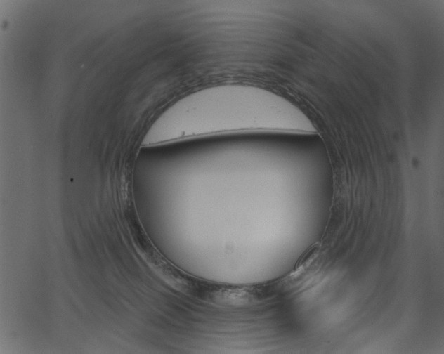 X0000067390086200603311006