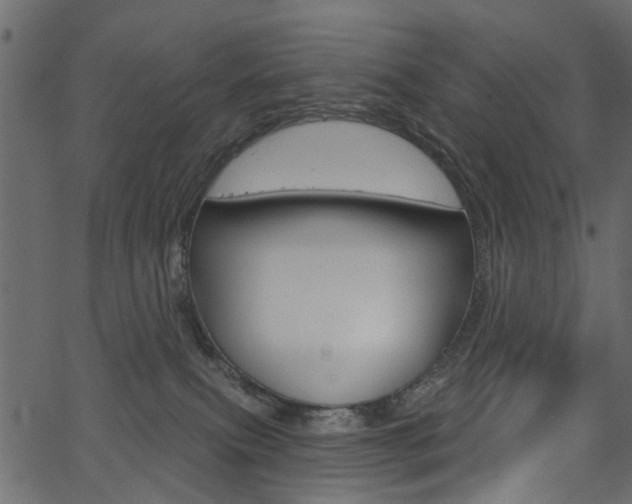 X0000067390087200603311006