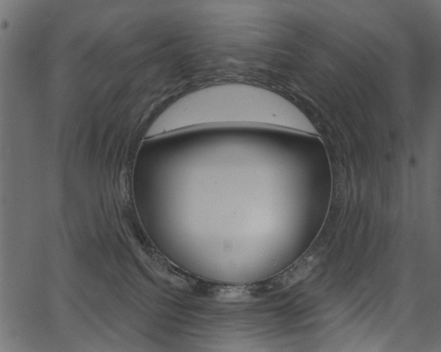 X0000067390088200603311006