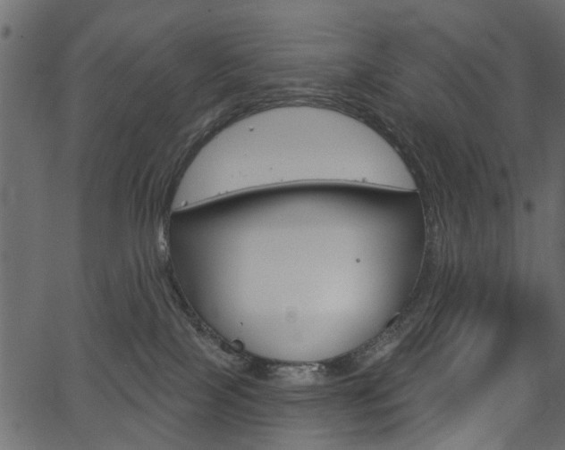 X0000067390089200603311006