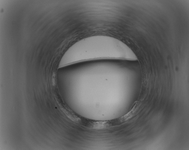 X0000067390090200603311006