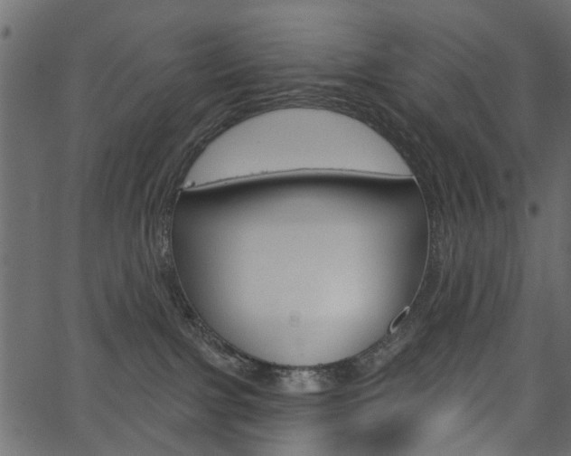 X0000067390091200603311006