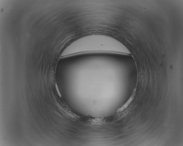 X0000067390092200603311006