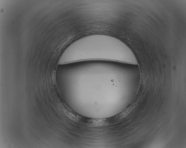 X0000067390093200603311006