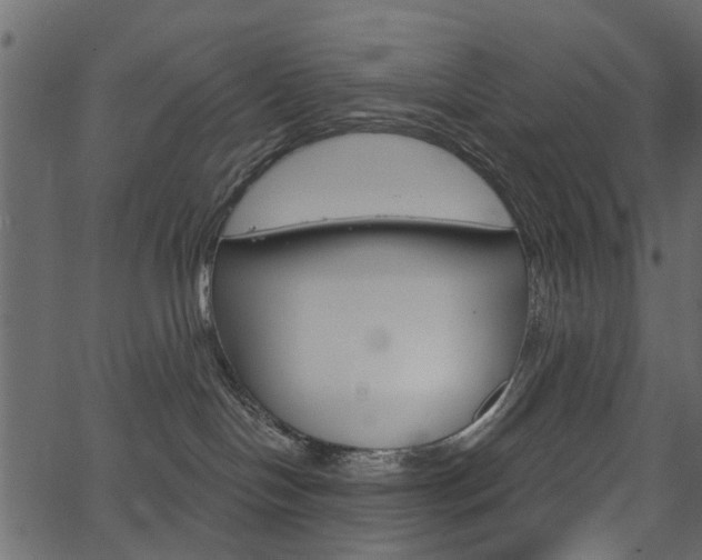 X0000067390094200603311006