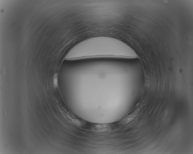 X0000067390095200603311006