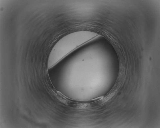 X0000067390096200603311006