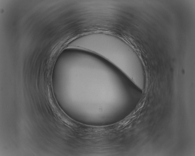 X0000067390097200603311005