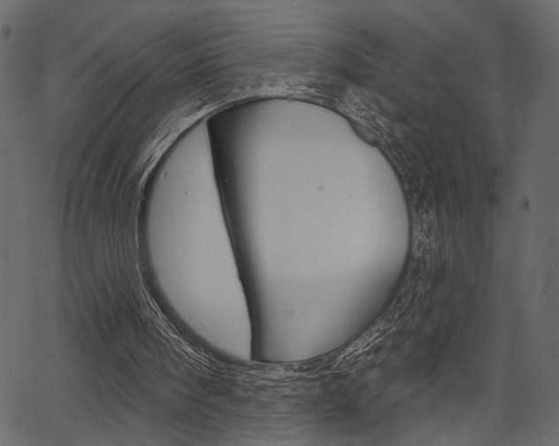 X0000067390098200603311005