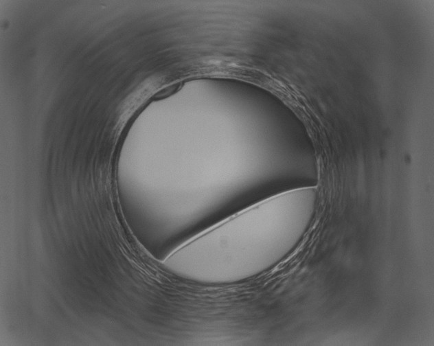 X0000067390099200603311005