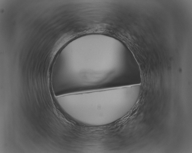 X0000067390100200603311005