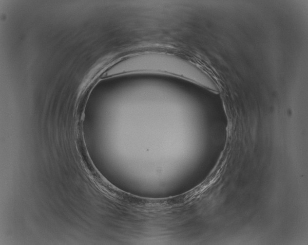 X0000067390101200603311005