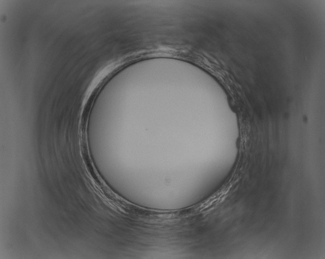 X0000067390102200603311005