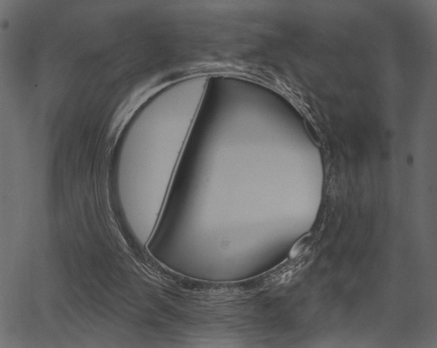 X0000067390103200603311005