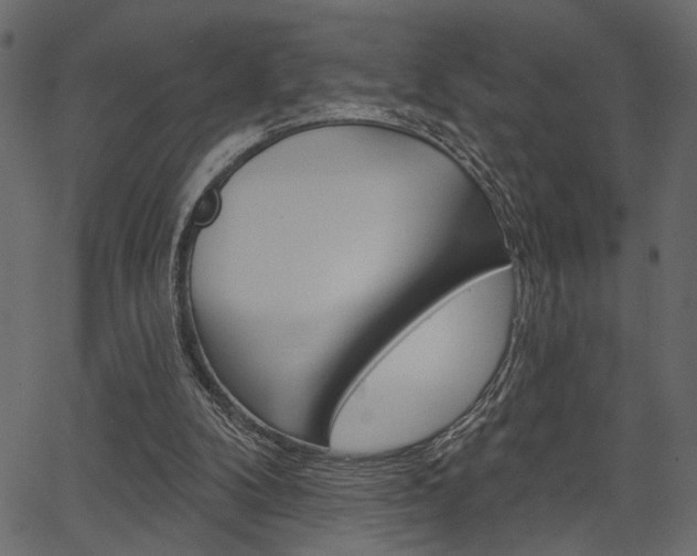 X0000067390104200603311005