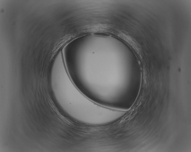 X0000067390105200603311005