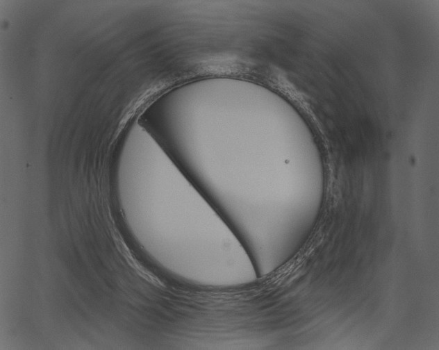 X0000067390106200603311005