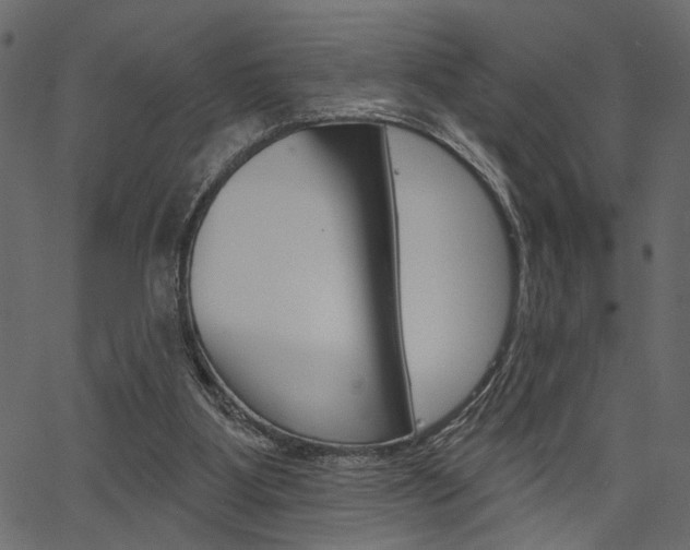 X0000067390107200603311005