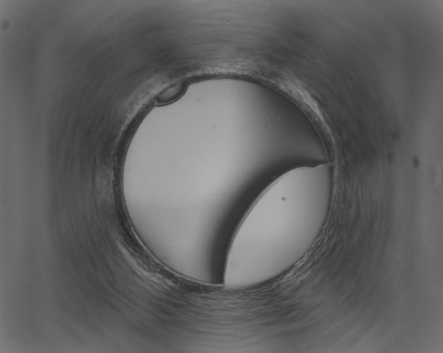 X0000067390108200603311005