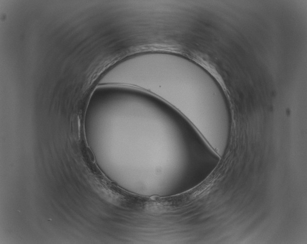 X0000067390109200603311005