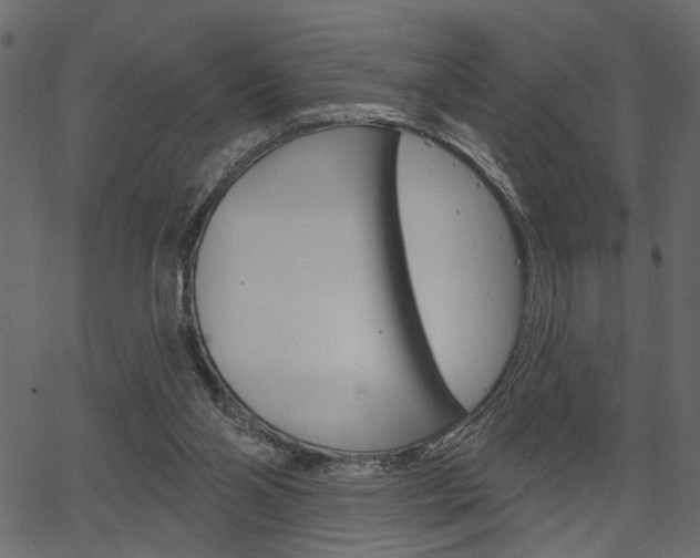 X0000067390110200603311005