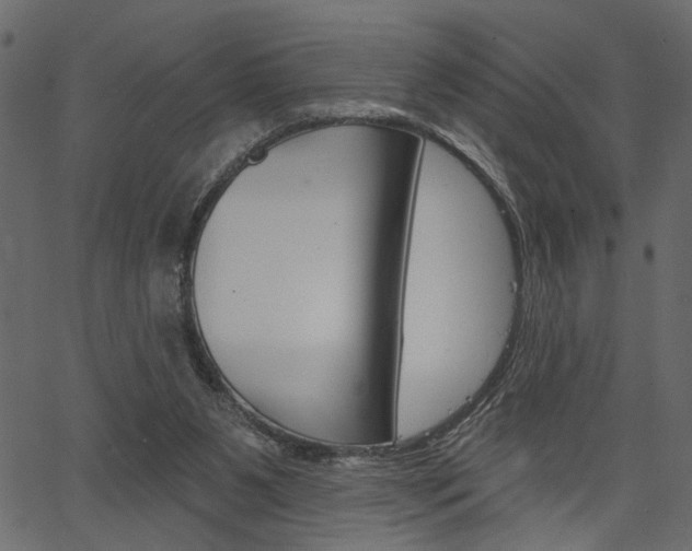 X0000067390111200603311005