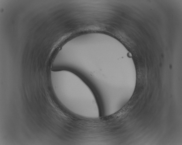 X0000067390112200603311005