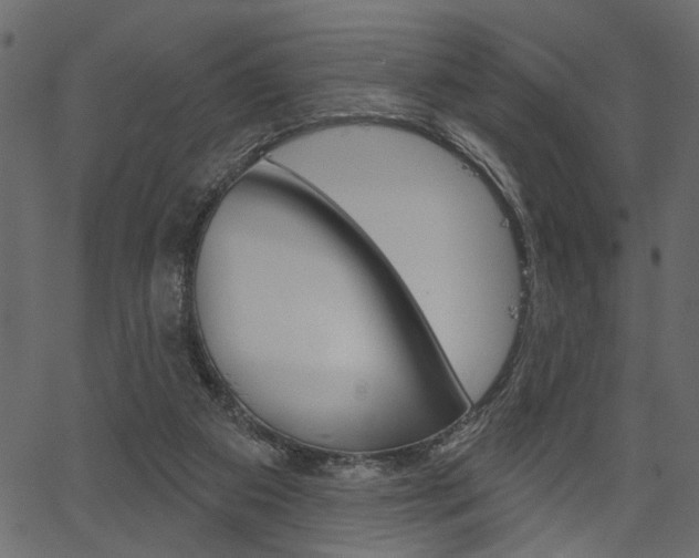 X0000067390113200603311005