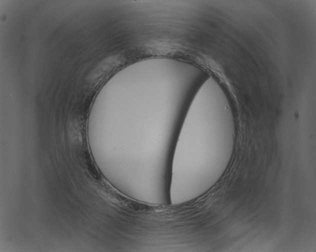 X0000067390114200603311005