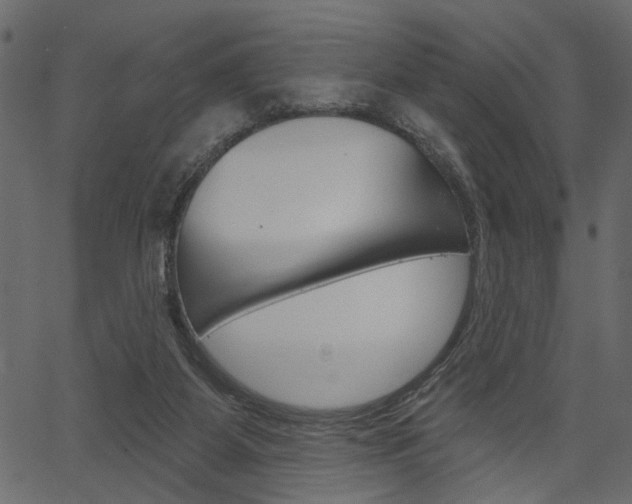 X0000067390115200603311005