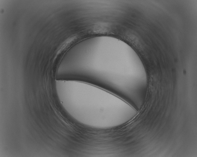 X0000067390116200603311005