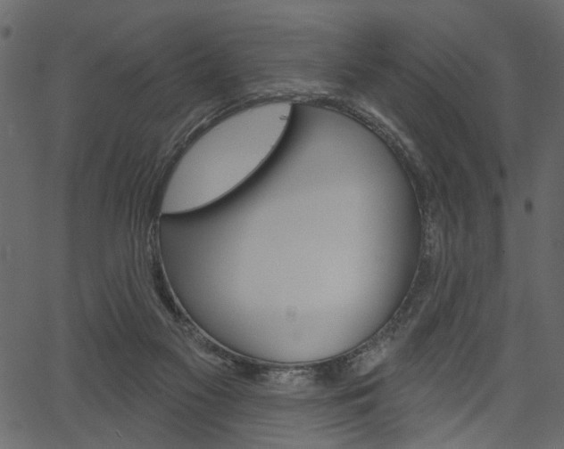 X0000067390117200603311005