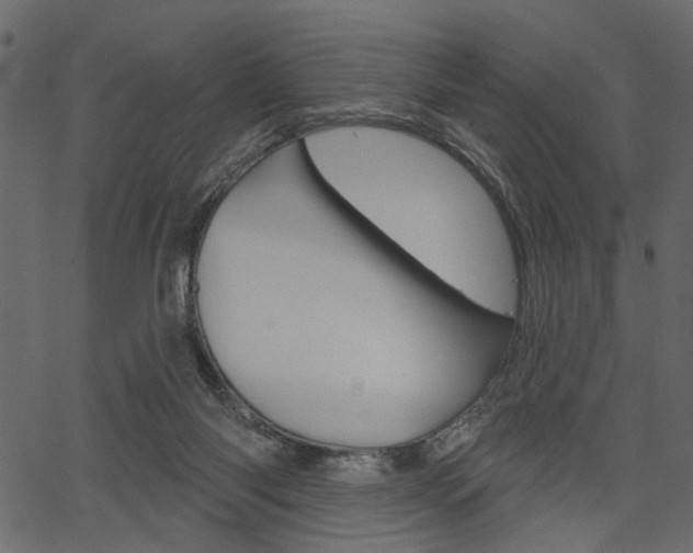 X0000067390118200603311005