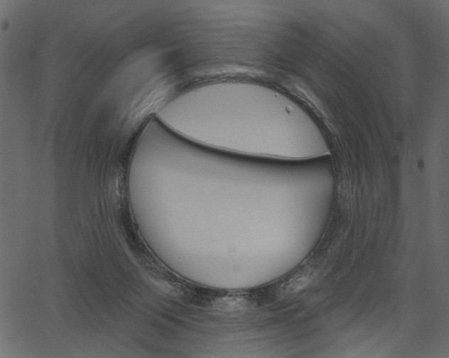 X0000067390119200603311005