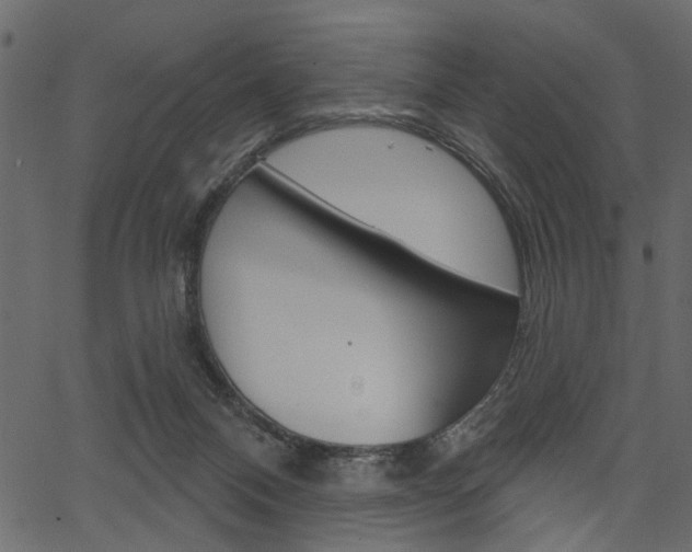 X0000067390120200603311005