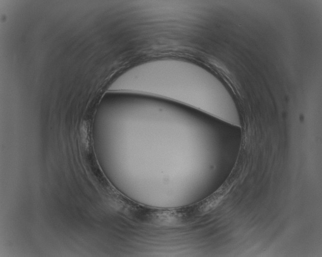 X0000067390121200603311005