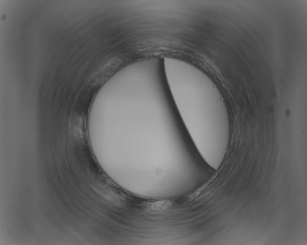 X0000067390122200603311005