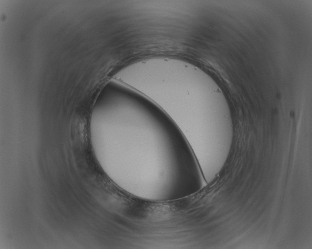 X0000067390123200603311005