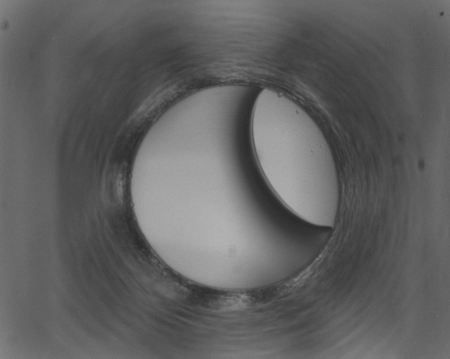 X0000067390124200603311005