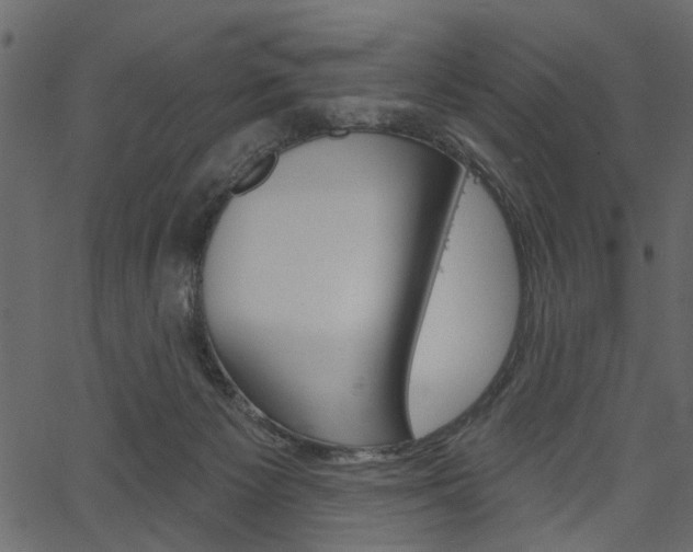 X0000067390125200603311005