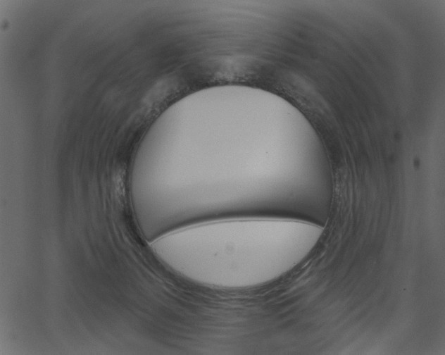 X0000067390127200603311005