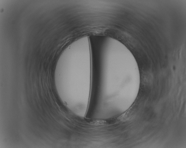 X0000067390128200603311005