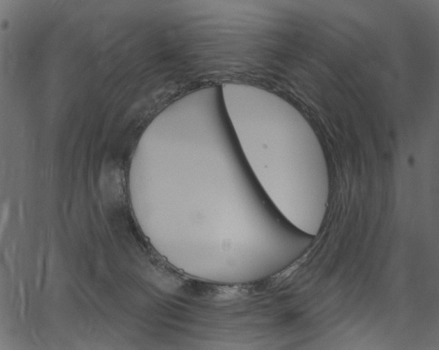 X0000067390130200603311005