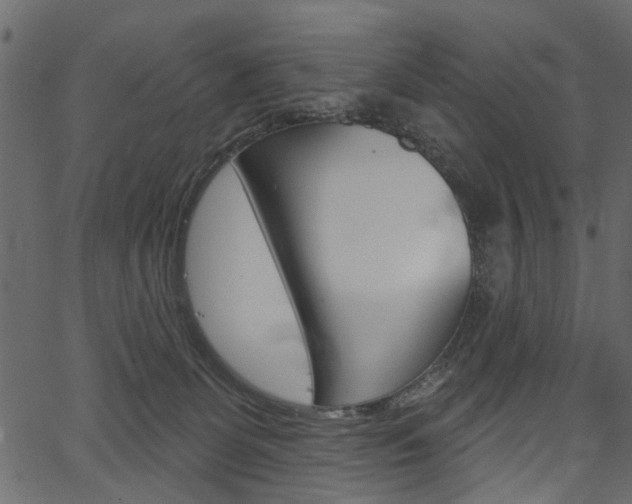 X0000067390131200603311005