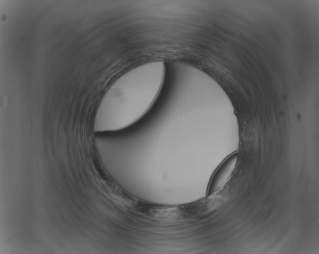 X0000067390132200603311005