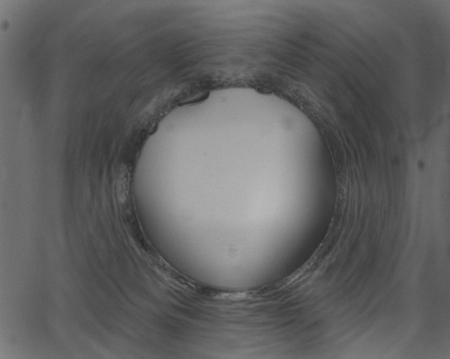 X0000067390133200603311005