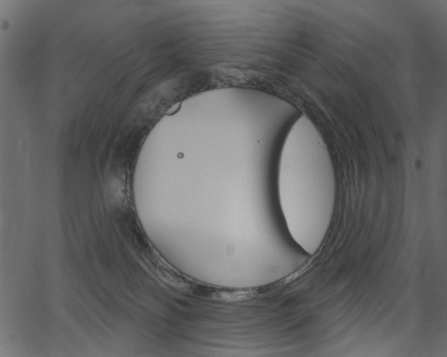 X0000067390134200603311005