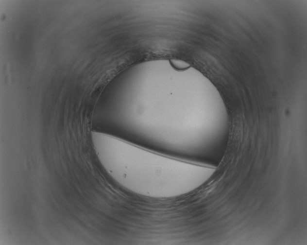 X0000067390135200603311005