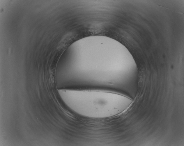 X0000067390136200603311005